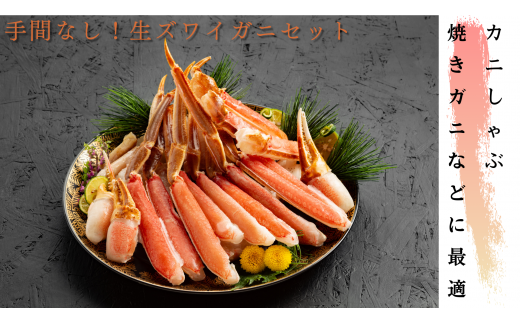 手間なし！極上生ずわいがにセット約900g(カット済み)