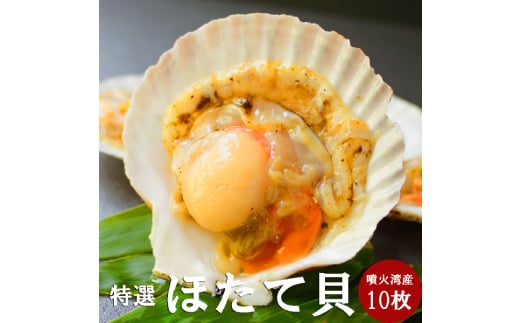 北海道産ホタテハーフシェル【BBQ用片殻付きほたて】