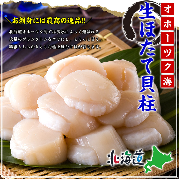 【甲羅組】ほたて貝柱 中型サイズ １ｋｇ