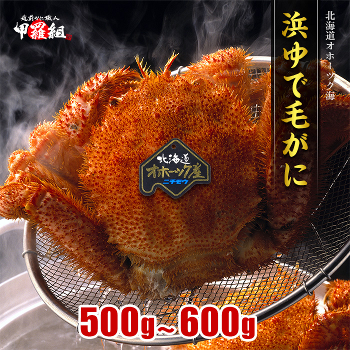 【甲羅組】北海道産　ボイル毛蟹