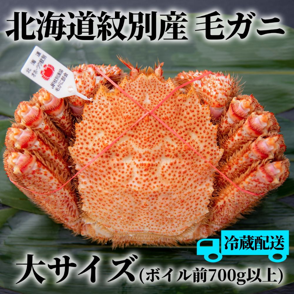 【期間・数量限定】浜茹で紋別産毛がに（加熱済・チルド冷蔵配送）紋別漁協認証タグ付き大サイズ