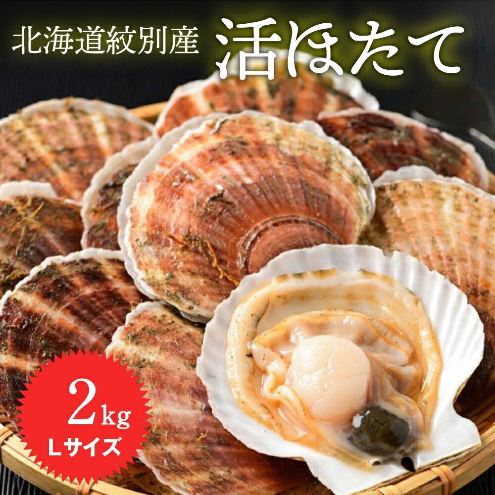 北海道紋別産 活ホタテ2kg(Lサイズ)