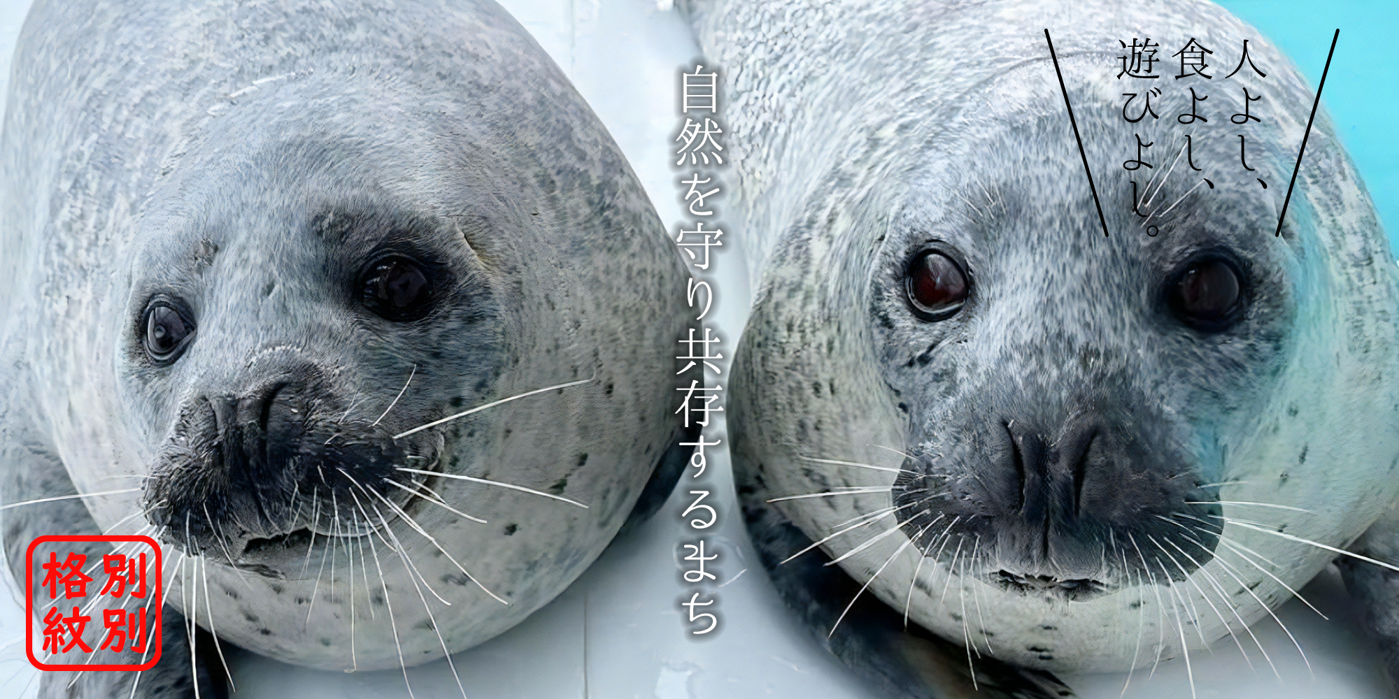 紋別のこと | 紋別市ふるさと納税総合サイト
